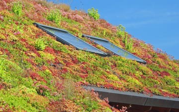 Tudeley Hale living roof systems