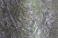 Tudeley Hale fibreglass roof work